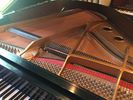 Altenburg Baby Grand Piano- SOLD.