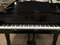 SOLD: Yamaha Parlor Grand Piano G-3