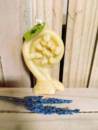 Fiddlehead Fern Candle