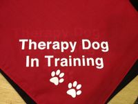 Jockey Hollow Vet Therapy Dog Class