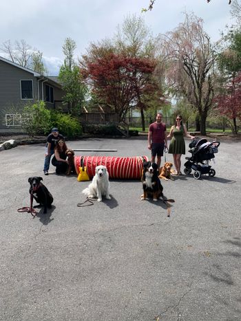 May 3, 2020  Trick Dog Novice
