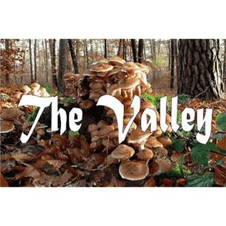 The Valley logo