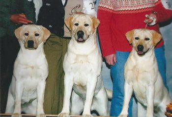 dog show winners
