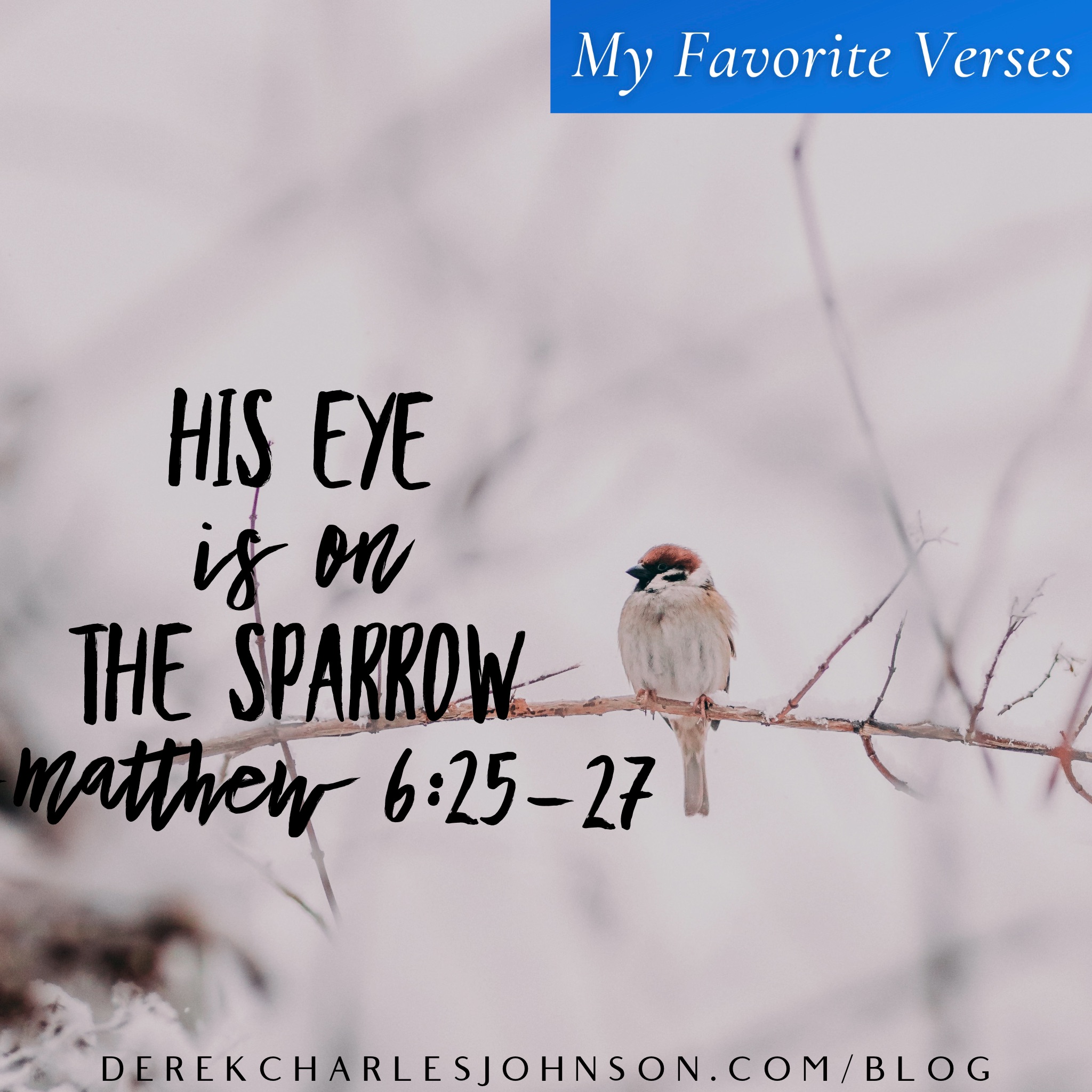 His Eye Is On The Sparrow — Matthew 62527 (My Favorite Verses)