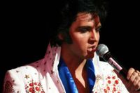 Donny Edwards: An Elite Tribute to Elvis