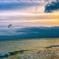 Custom Canvas Print Misquamicut Seagull