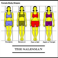 Female Body Shapes by THE SALESMAN