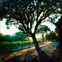 Smith Story Wine Cellars at the Disco Ranch