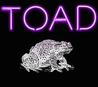 Los Goutos at TOAD - Cambridge