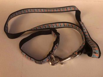 13 RC Gutairs Leash and Collar Set $8
