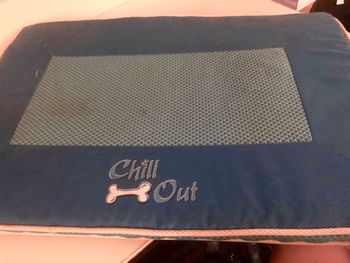 SOLD#8 Chill out mat med size $10
