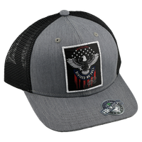 Divided We Fall - Grey w/Black Mesh Curved Bill Hat