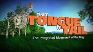 Cathy offers a free viewing of "From Tongue To Tail".  

Participants are provided great insight into how our everyday actions can affect their integrated movement from tongue to tail.

Check back for details on our next viewing.