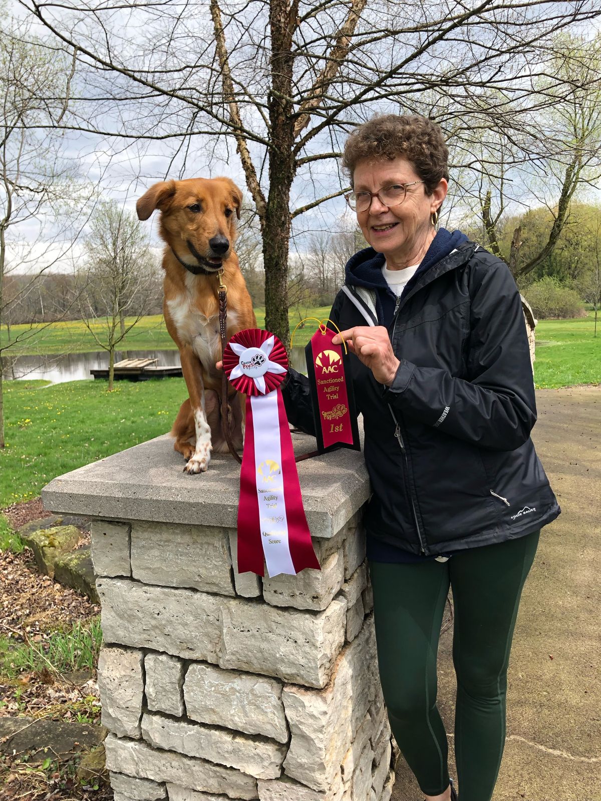 Cruisin' Paws Agility - C4Q9 - Course Maps & Results