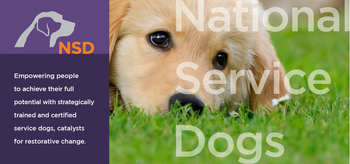 National Service Dogs
