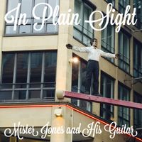 In Plain Sight by Mister Jones and His Guitar