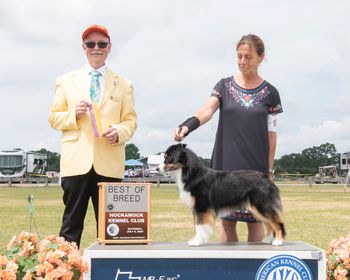 AKC GCh Ch Milwin's Rightous Babe winning Best of Breed.
