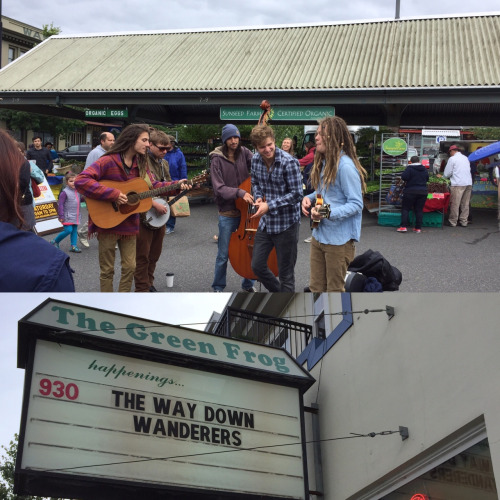 6/10/16 Bellingham, WA The Green Frog. Bellingham is a really...