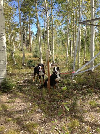 Louis & Sunny of SLC, UT check out Ed Abbey's lookout
