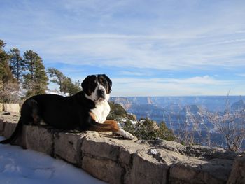 Wookie North Rim January 2013 Pregnant by Hero
