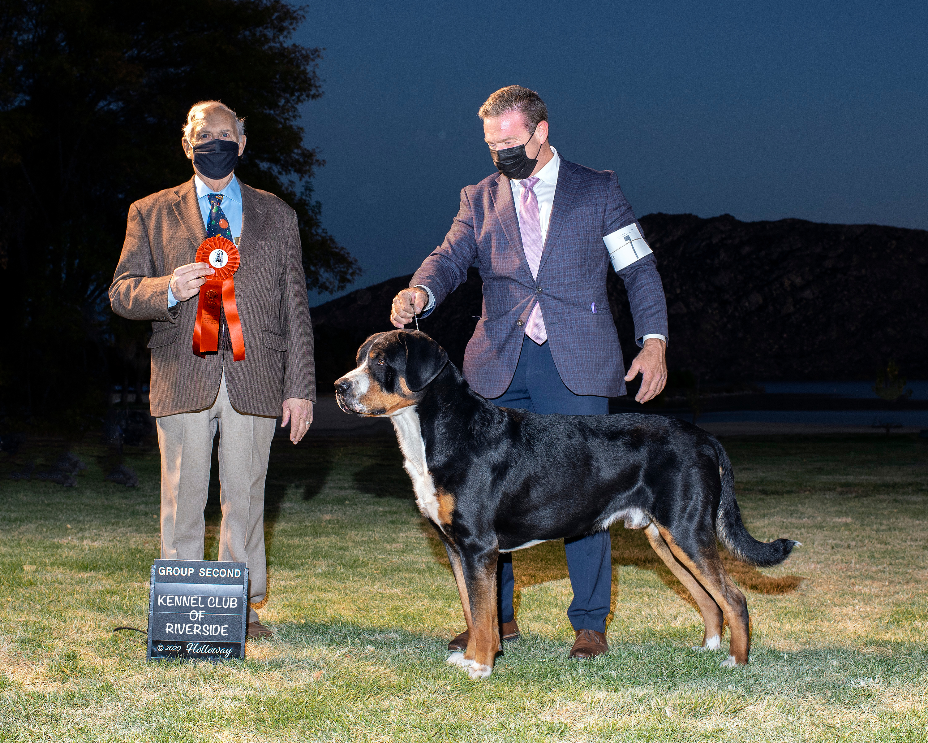 are swiss mountain dogs friendly