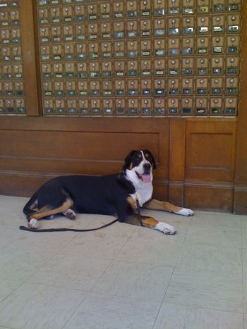 Visiting the Yosemite Village Post Office.
