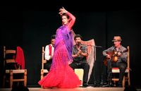 One Night in Andalusia. Live Flamenco Dance and Music.