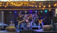 Whiskey Would at the Alum Creek Marina Summer Concert Series