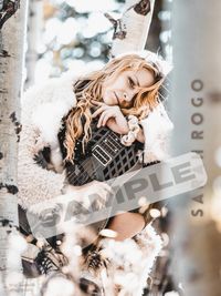 Sunfall Poster 24x36