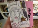 The Pink Owl - Sub-Psychic Souvenirs (CASS)