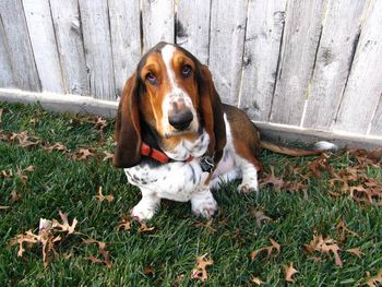 Trumbull's Coconut lives in Texas. She lives with her best friend Cranberry.
