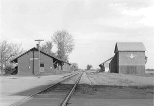 Mariposa station and freight shed, looking east to Lindsay. 1950s. John Freyseng photo.