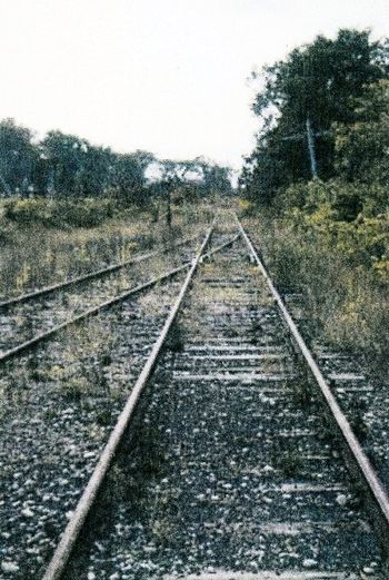 Looking southwest from Dunsford in August 1961. Photographer not known. Larry Murphy Collection
