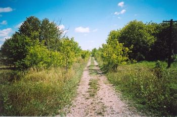 Looking east along the r-o-w towards CKL 36 in the vicinity of St. David Street, Lindsay. 2005.
