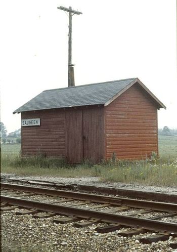 Saugeen CNR 1979 RGC
