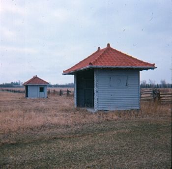 Winch's Stop 95 and Trivett's Stop 94 T&Y Radial Georgina Pioneer Village 1978 CC
