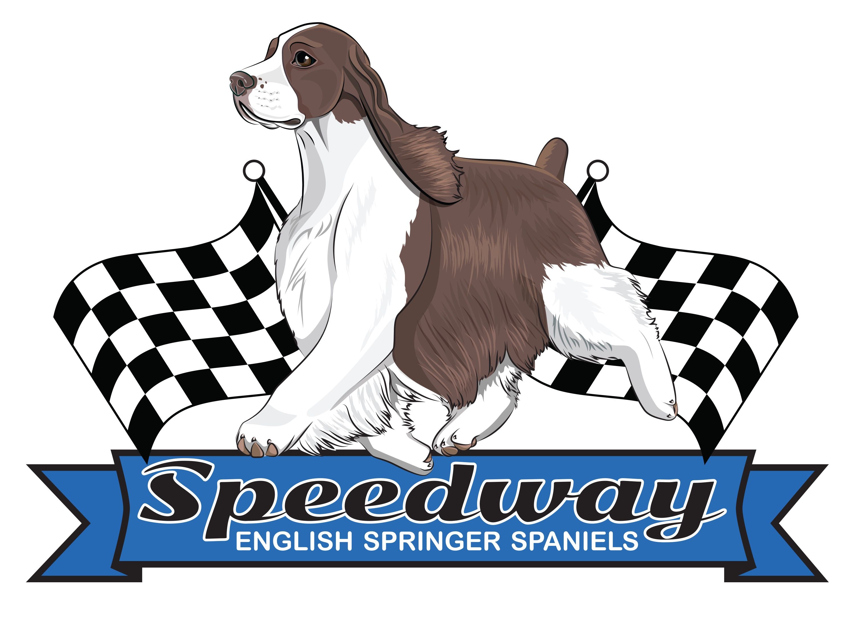 Speedway English Springer Spaniels