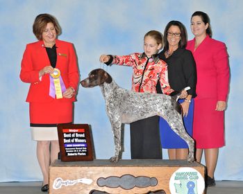 The most exciting win yet! New Champion and BOB from the puppy classes!
