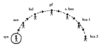 Social geometry for "The Great Chain of Being" (2007)

