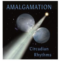 Circadian Rhythms by Amalgamation