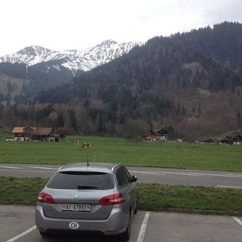 1200 Swiss alps, Swiss cows, Swiss car, Frutigen
