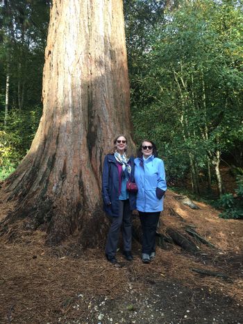 Mary and Lizann in front of a large tree.
