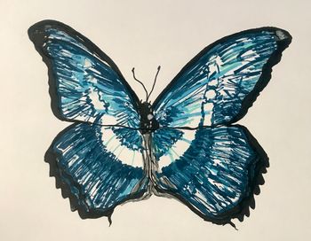 "Blue Monarch", acrylic paint marker
