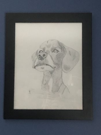"Oliver the Dog", sketch
