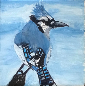 "Bluejay", acrylic/pencil
