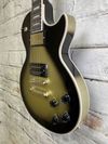 Epiphone Adam Jones Les Paul Custom Art Collection Electric Guitar - Julie Heffernan's "Not Dead Yet," Antique Silverburst