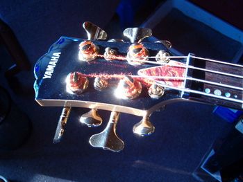 tuners replaced/added: Schaller Ultra-Lite gold bass, Gotoh gold guitar, truss rod cover modified
