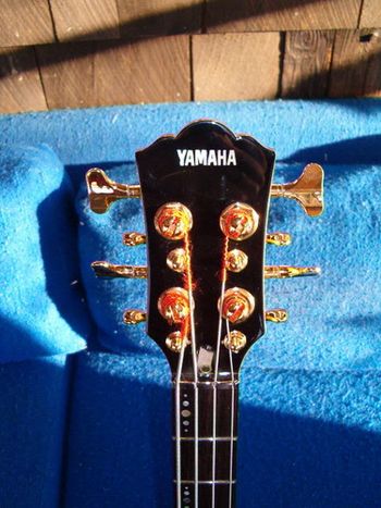 headstock, front view, nut mod coming soon
