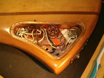 Control cavity, original Carvin electronics, copper shielding, brass jack plate
