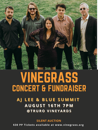 Vinegrass Fundraiser & Concert w/ AJ Lee & Blue Summit